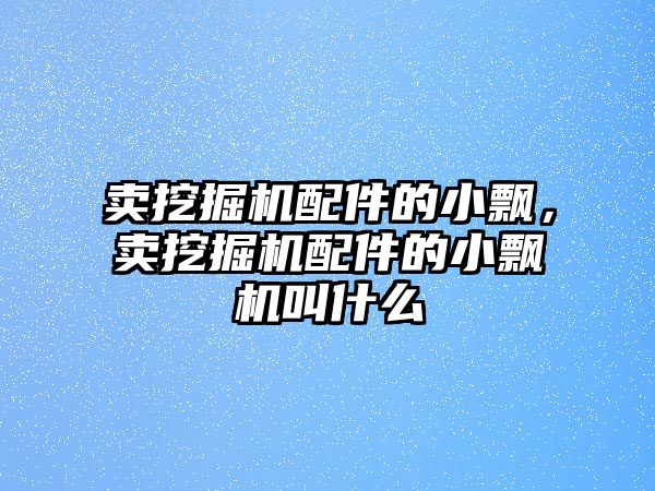 賣挖掘機(jī)配件的小飄，賣挖掘機(jī)配件的小飄機(jī)叫什么