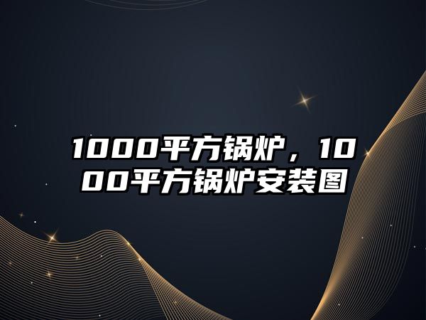 1000平方鍋爐，1000平方鍋爐安裝圖