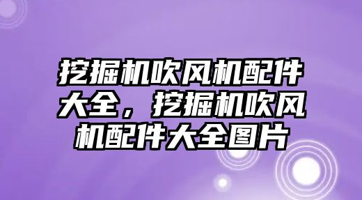 挖掘機吹風(fēng)機配件大全，挖掘機吹風(fēng)機配件大全圖片