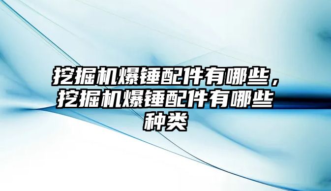 挖掘機爆錘配件有哪些，挖掘機爆錘配件有哪些種類