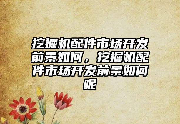 挖掘機配件市場開發(fā)前景如何，挖掘機配件市場開發(fā)前景如何呢