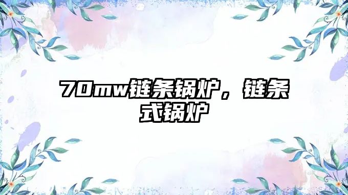 70mw鏈條鍋爐，鏈條式鍋爐