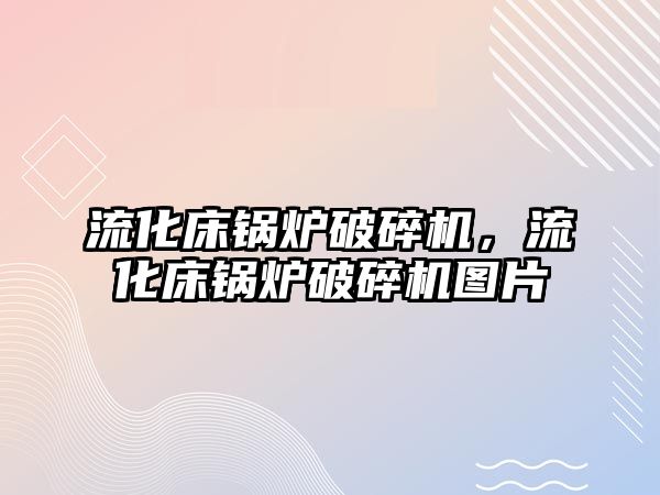 流化床鍋爐破碎機，流化床鍋爐破碎機圖片