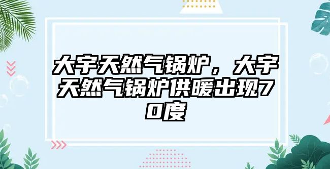 大宇天然氣鍋爐，大宇天然氣鍋爐供暖出現(xiàn)70度