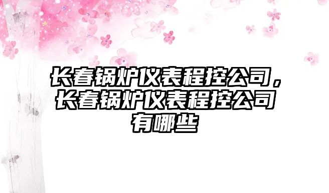 長春鍋爐儀表程控公司，長春鍋爐儀表程控公司有哪些