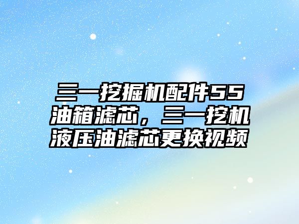 三一挖掘機(jī)配件55油箱濾芯，三一挖機(jī)液壓油濾芯更換視頻