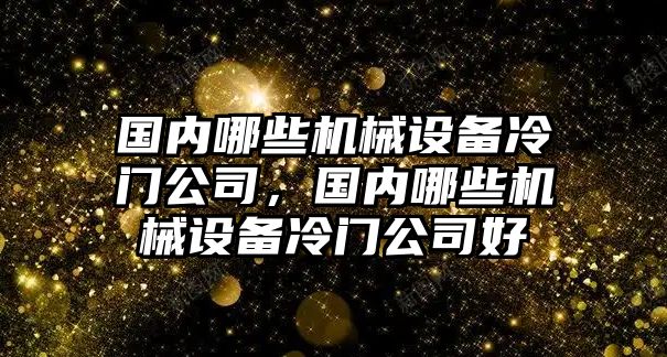 國內(nèi)哪些機械設(shè)備冷門公司，國內(nèi)哪些機械設(shè)備冷門公司好