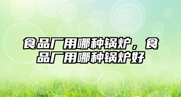 食品廠用哪種鍋爐，食品廠用哪種鍋爐好