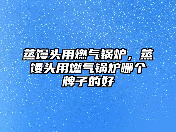 蒸饅頭用燃?xì)忮仩t，蒸饅頭用燃?xì)忮仩t哪個(gè)牌子的好