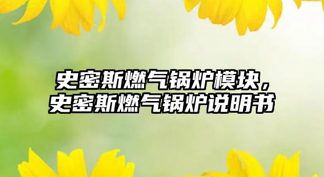 史密斯燃氣鍋爐模塊，史密斯燃氣鍋爐說明書