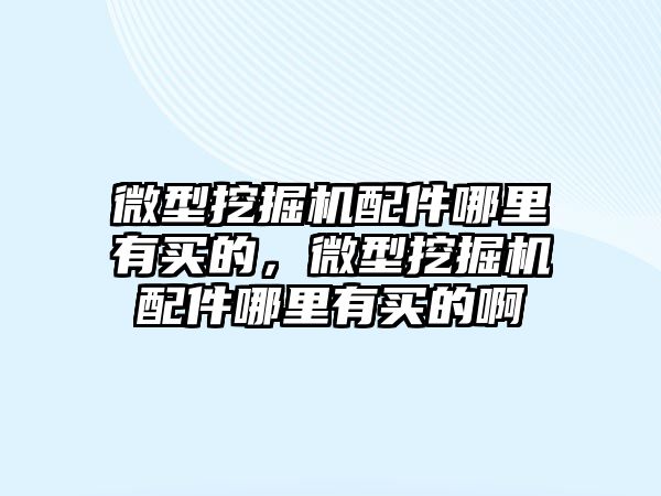 微型挖掘機(jī)配件哪里有買的，微型挖掘機(jī)配件哪里有買的啊