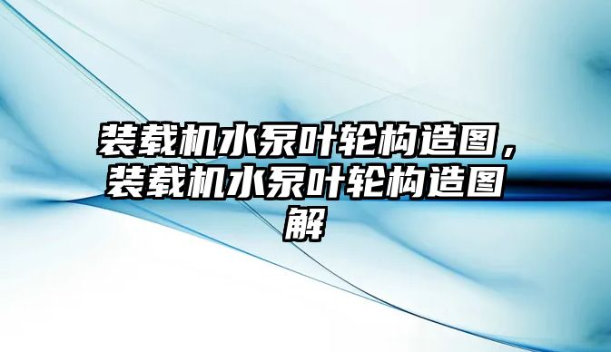 裝載機(jī)水泵葉輪構(gòu)造圖，裝載機(jī)水泵葉輪構(gòu)造圖解