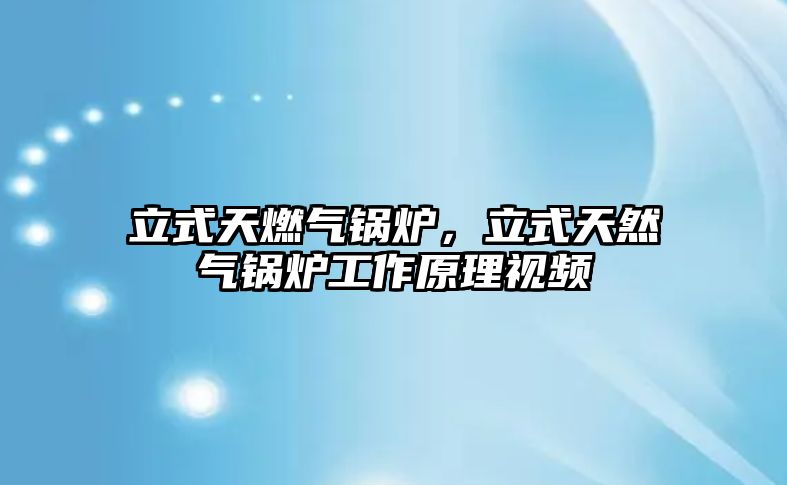 立式天燃?xì)忮仩t，立式天然氣鍋爐工作原理視頻