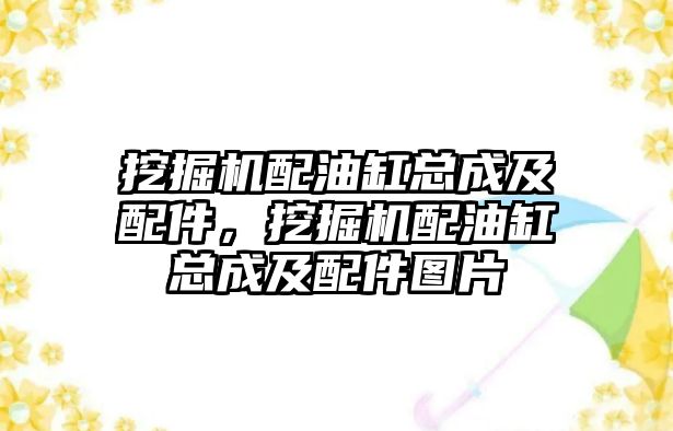 挖掘機配油缸總成及配件，挖掘機配油缸總成及配件圖片