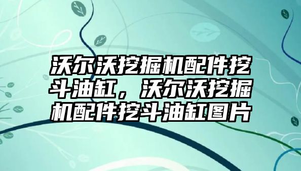 沃爾沃挖掘機配件挖斗油缸，沃爾沃挖掘機配件挖斗油缸圖片