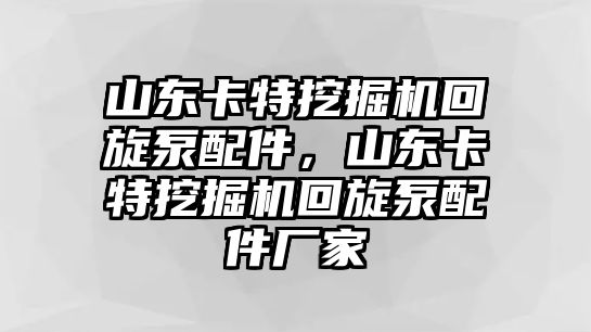 山東卡特挖掘機(jī)回旋泵配件，山東卡特挖掘機(jī)回旋泵配件廠家