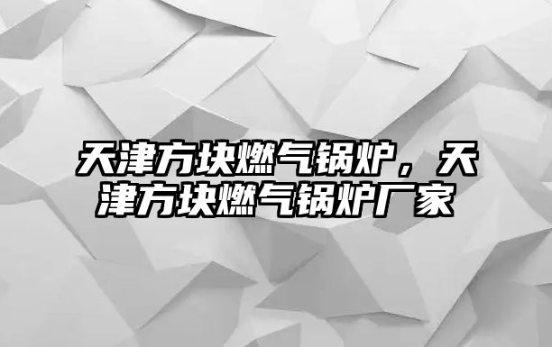 天津方塊燃氣鍋爐，天津方塊燃氣鍋爐廠家