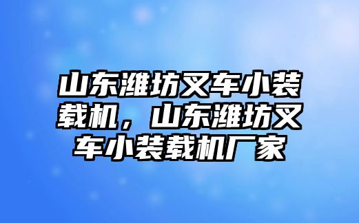 山東濰坊叉車小裝載機(jī)，山東濰坊叉車小裝載機(jī)廠家