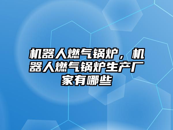 機器人燃氣鍋爐，機器人燃氣鍋爐生產(chǎn)廠家有哪些