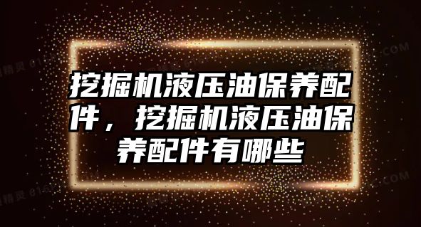 挖掘機液壓油保養(yǎng)配件，挖掘機液壓油保養(yǎng)配件有哪些