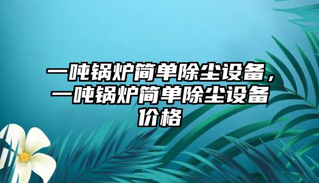 一噸鍋爐簡(jiǎn)單除塵設(shè)備，一噸鍋爐簡(jiǎn)單除塵設(shè)備價(jià)格