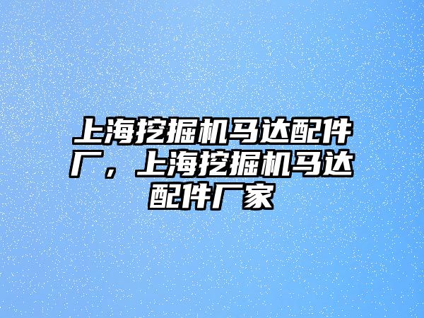 上海挖掘機馬達(dá)配件廠，上海挖掘機馬達(dá)配件廠家