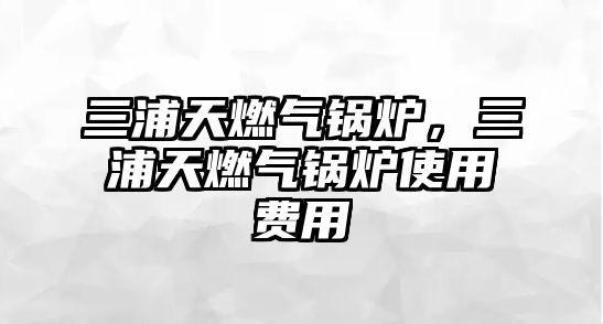 三浦天燃?xì)忮仩t，三浦天燃?xì)忮仩t使用費(fèi)用