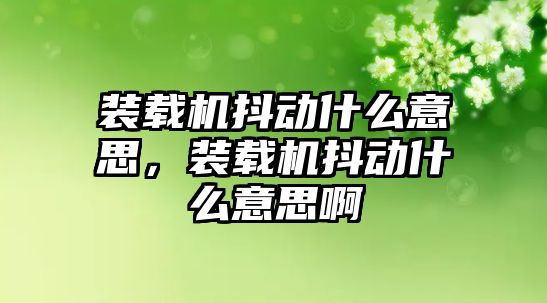 裝載機抖動什么意思，裝載機抖動什么意思啊