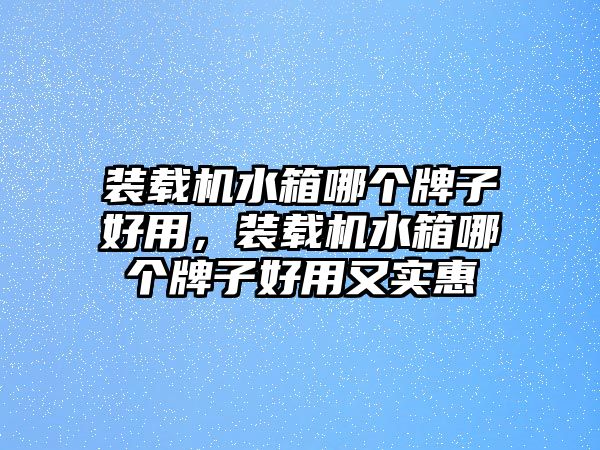 裝載機(jī)水箱哪個(gè)牌子好用，裝載機(jī)水箱哪個(gè)牌子好用又實(shí)惠