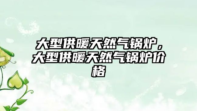 大型供暖天然氣鍋爐，大型供暖天然氣鍋爐價格