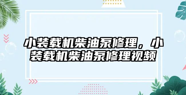 小裝載機柴油泵修理，小裝載機柴油泵修理視頻