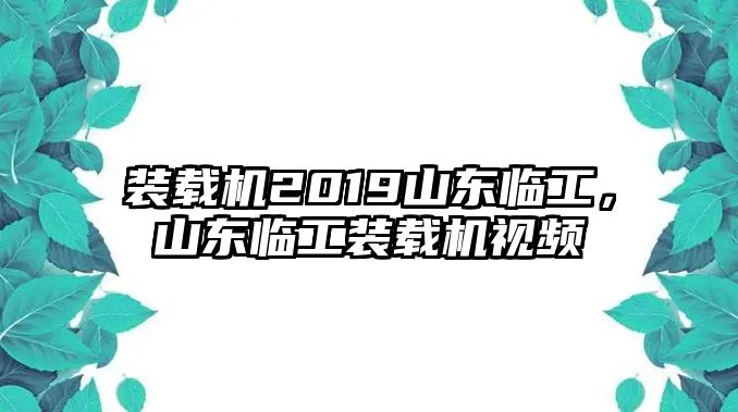 裝載機(jī)2019山東臨工，山東臨工裝載機(jī)視頻