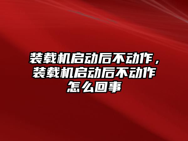 裝載機啟動后不動作，裝載機啟動后不動作怎么回事