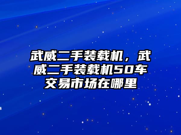 武威二手裝載機(jī)，武威二手裝載機(jī)50車交易市場(chǎng)在哪里