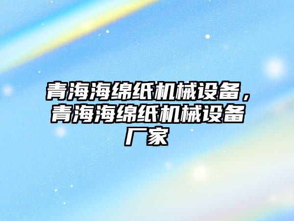 青海海綿紙機械設備，青海海綿紙機械設備廠家