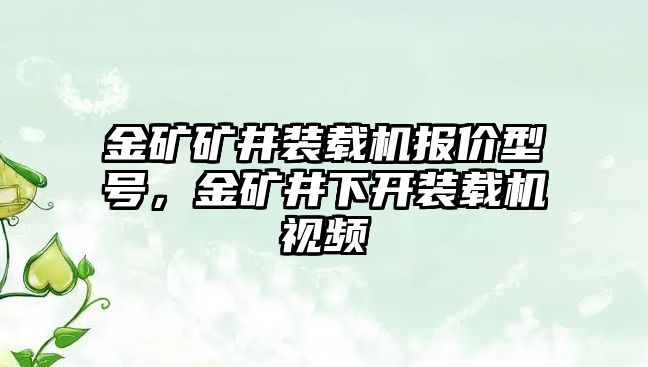 金礦礦井裝載機(jī)報(bào)價(jià)型號(hào)，金礦井下開(kāi)裝載機(jī)視頻