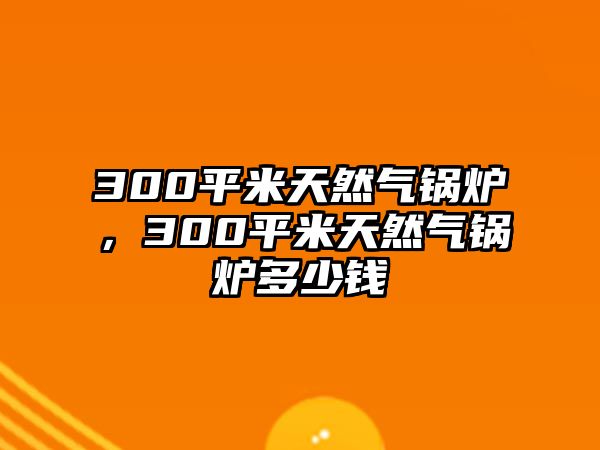 300平米天然氣鍋爐，300平米天然氣鍋爐多少錢