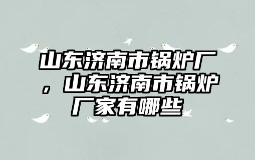 山東濟(jì)南市鍋爐廠，山東濟(jì)南市鍋爐廠家有哪些