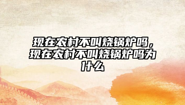 現(xiàn)在農(nóng)村不叫燒鍋爐嗎，現(xiàn)在農(nóng)村不叫燒鍋爐嗎為什么