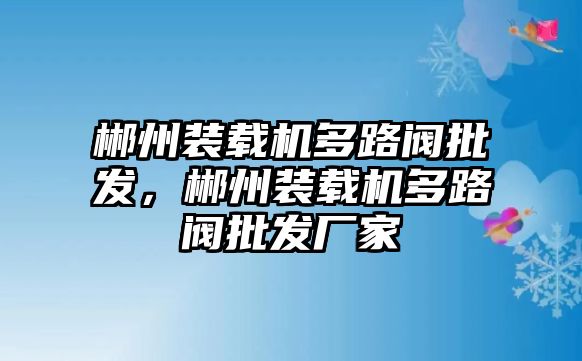 郴州裝載機多路閥批發(fā)，郴州裝載機多路閥批發(fā)廠家