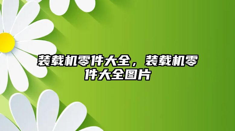 裝載機零件大全，裝載機零件大全圖片