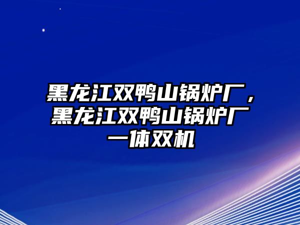 黑龍江雙鴨山鍋爐廠，黑龍江雙鴨山鍋爐廠一體雙機(jī)