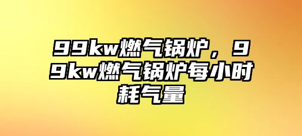 99kw燃?xì)忮仩t，99kw燃?xì)忮仩t每小時(shí)耗氣量