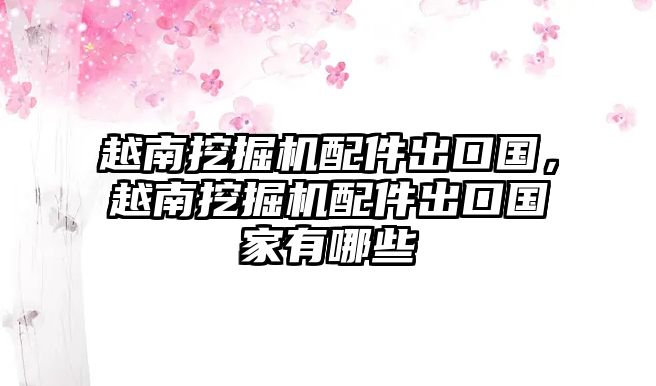 越南挖掘機(jī)配件出口國，越南挖掘機(jī)配件出口國家有哪些