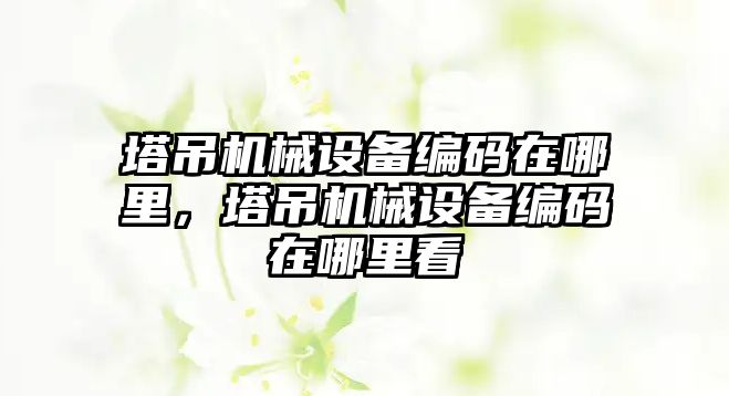 塔吊機械設備編碼在哪里，塔吊機械設備編碼在哪里看