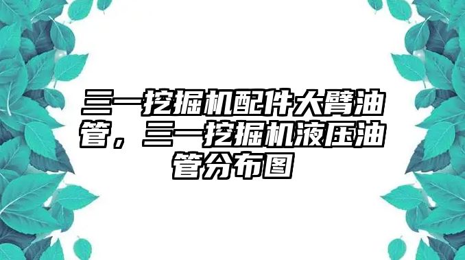 三一挖掘機(jī)配件大臂油管，三一挖掘機(jī)液壓油管分布圖