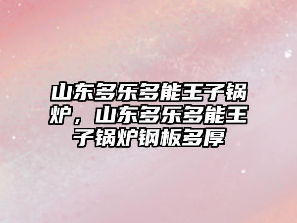 山東多樂多能王子鍋爐，山東多樂多能王子鍋爐鋼板多厚