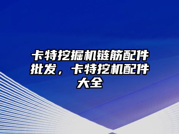 卡特挖掘機鏈筋配件批發(fā)，卡特挖機配件大全