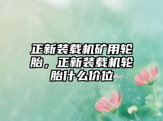 正新裝載機(jī)礦用輪胎，正新裝載機(jī)輪胎什么價(jià)位