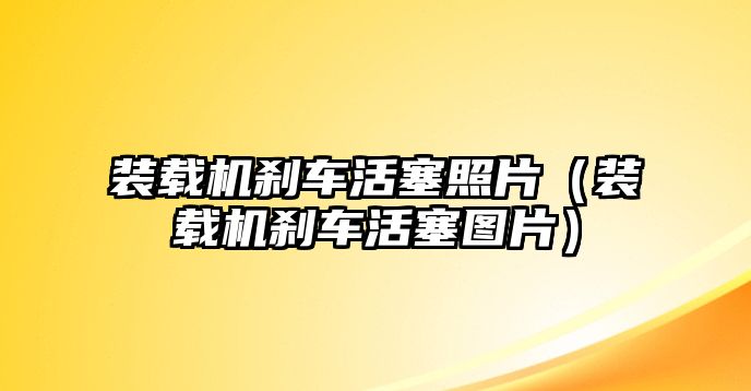 裝載機(jī)剎車(chē)活塞照片（裝載機(jī)剎車(chē)活塞圖片）